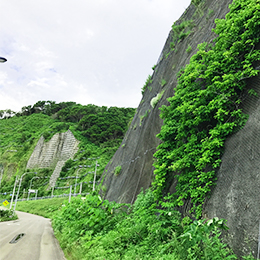 成和貿易株式会社のイメージ1