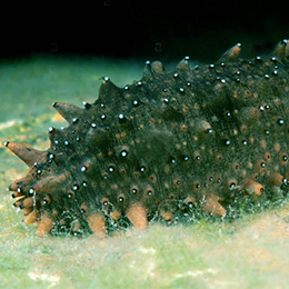 成和貿易株式会社のイメージ2