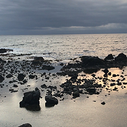 成和貿易株式会社のイメージ4