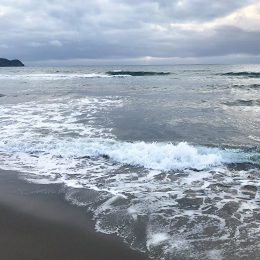 成和貿易株式会社のイメージ6