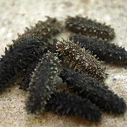 成和貿易株式会社のイメージ7