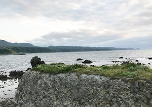 北海道海産イメージ